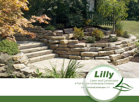 lilly lawn landscape