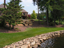 lilly lawn landscape