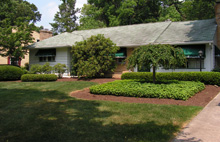 lilly lawn landscape