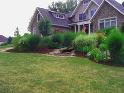 lilly lawn landscape